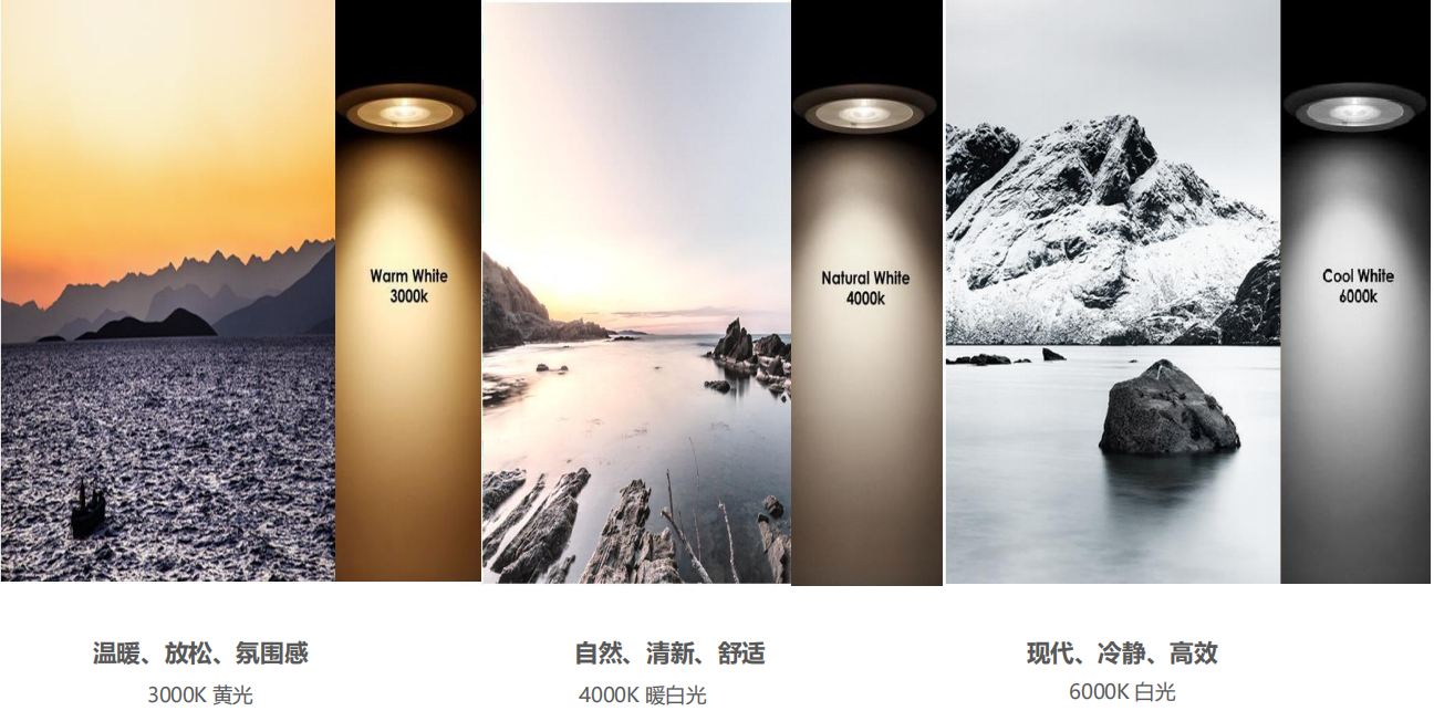 【設計案例】普照國康醫藥辦公室項目概念設計——以空間敘事，筑品牌基因(圖26)