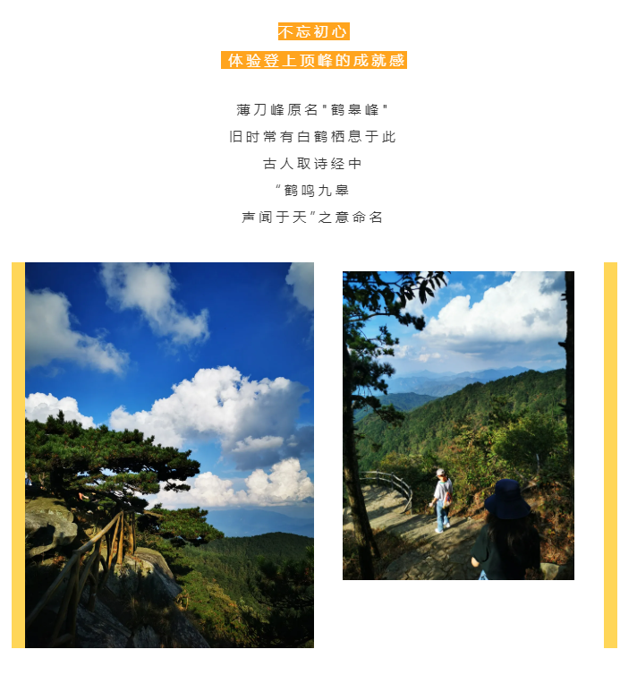 秋天了，來(lái)一場(chǎng)成年人的秋游吧(圖2)